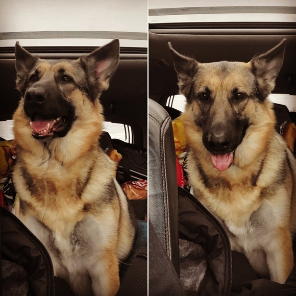 Meet your Posher, Sarah - Picture 9 of 11